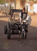سوداني اصيل