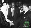 الصور السابقة: