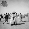 الصور السابقة: