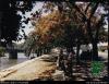 الصور السابقة: