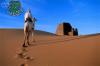 الصور السابقة: