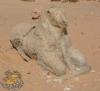 اثار سوداني 53