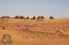 الاثار السودانيه الاثار السودانيه
