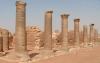 الصور التالية: