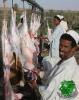 وجوه سودانيه